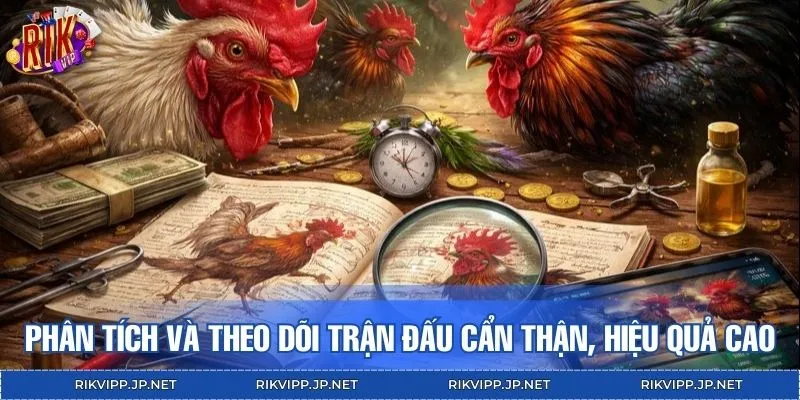Phân tích và theo dõi trận đấu cẩn thận, hiệu quả cược cao
