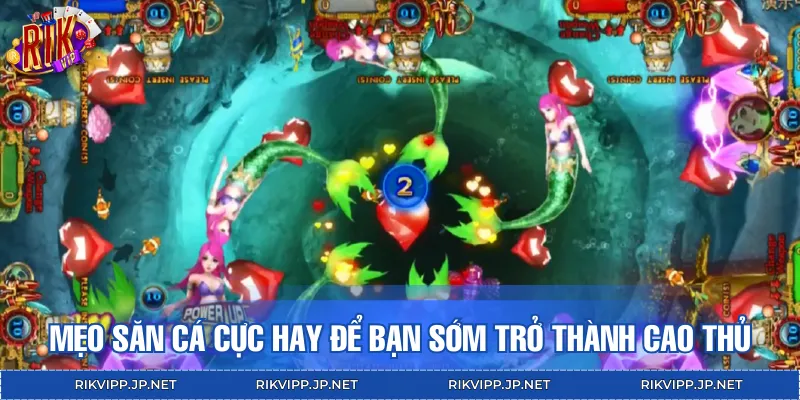 Một số mẹo săn cá hay đem lại lợi nhuận lớn cho mọi người