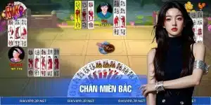 Chắn Miền Bắc - Học Cách Chơi Bất Bại Từ Các Cao Thủ RIKVIP